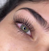 Lash Lifting + Tint